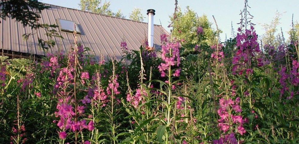 Juneberry Lodge ホーマー エクステリア 写真
